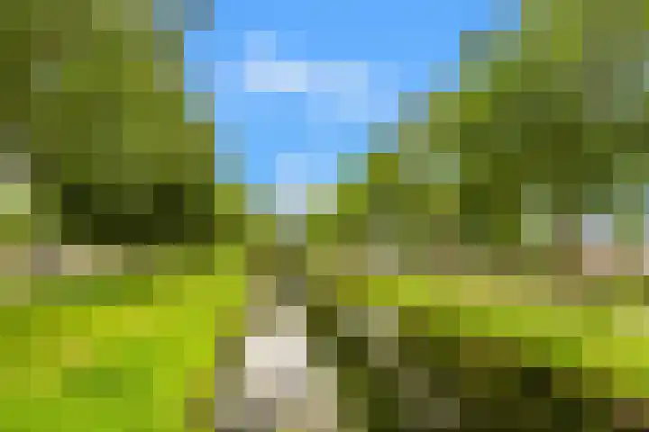 De Spin 120 Uitgeest thumbnail 27