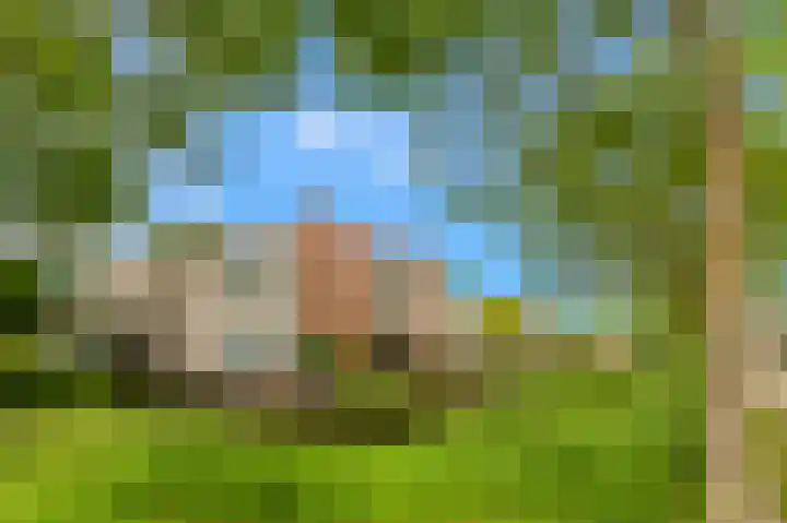 De Spin 120 Uitgeest thumbnail 28