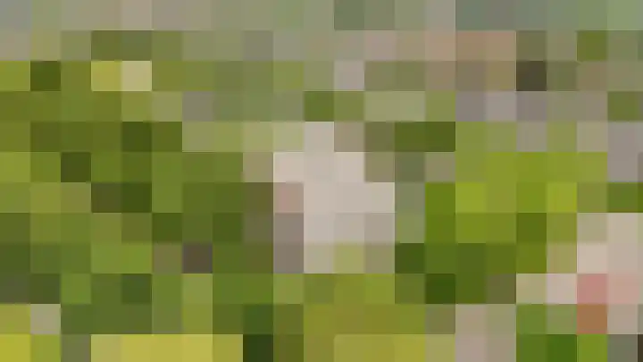 De Spin 120 Uitgeest thumbnail 29
