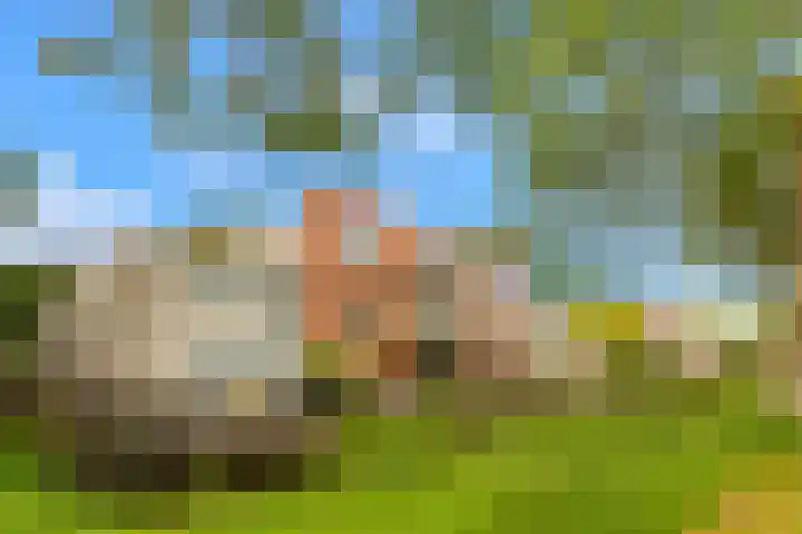 De Spin 120 Uitgeest thumbnail 35