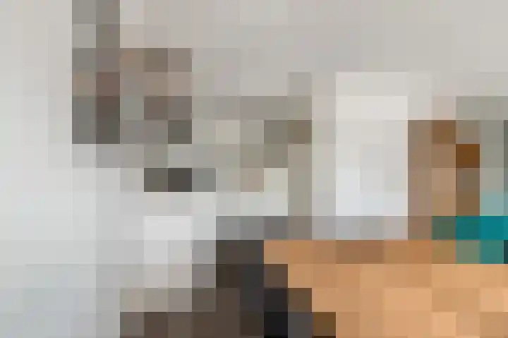De Spin 120 Uitgeest thumbnail 7