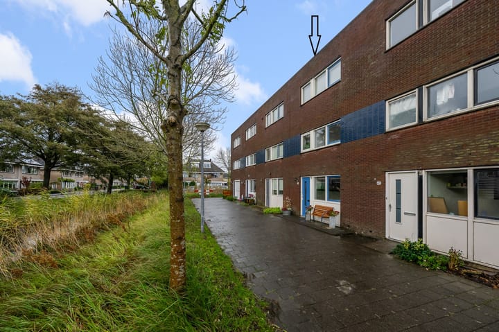 De Spin 38 in Uitgeest foto