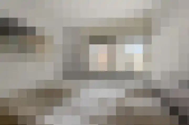 De Spin 38 Uitgeest thumbnail 15
