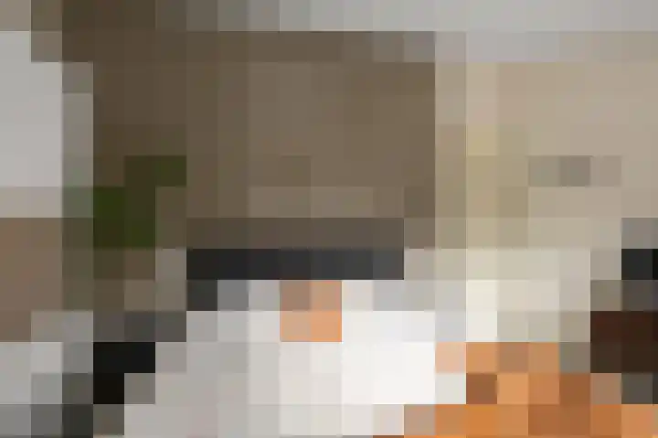 De Spin 38 Uitgeest thumbnail 17