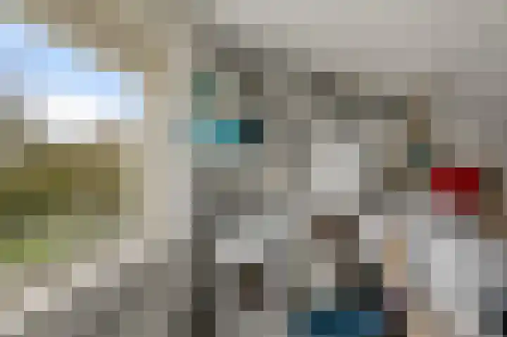 De Spin 38 Uitgeest thumbnail 26