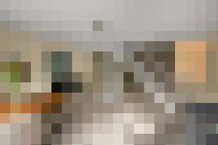 De Spin 38 Uitgeest thumbnail 7