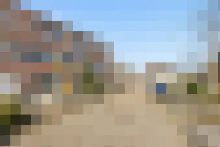 De Spin 6 Uitgeest