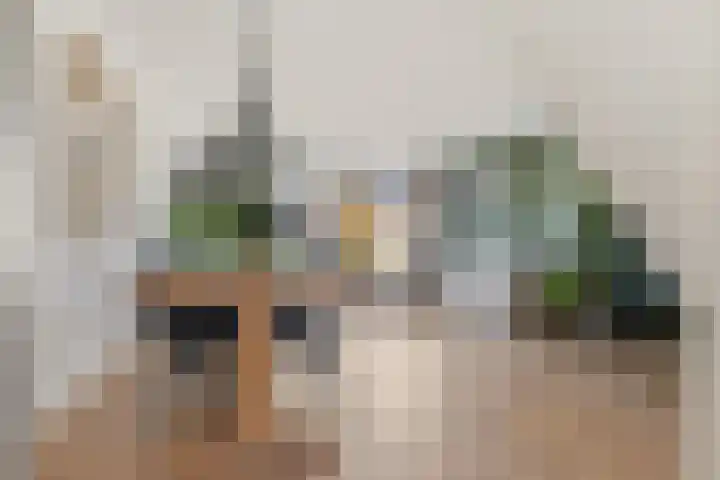 De Spin 6 Uitgeest thumbnail 10