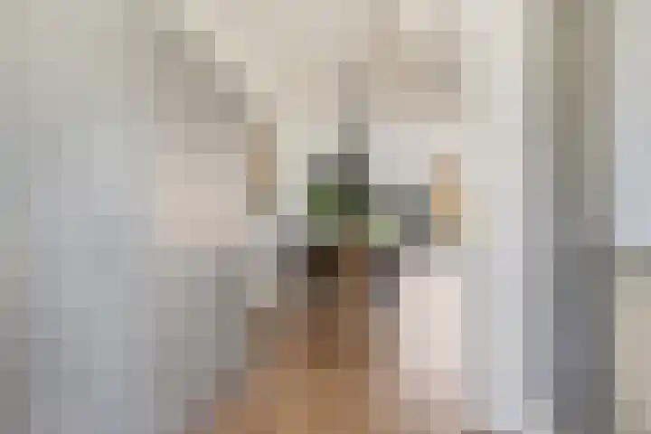 De Spin 6 Uitgeest thumbnail 12