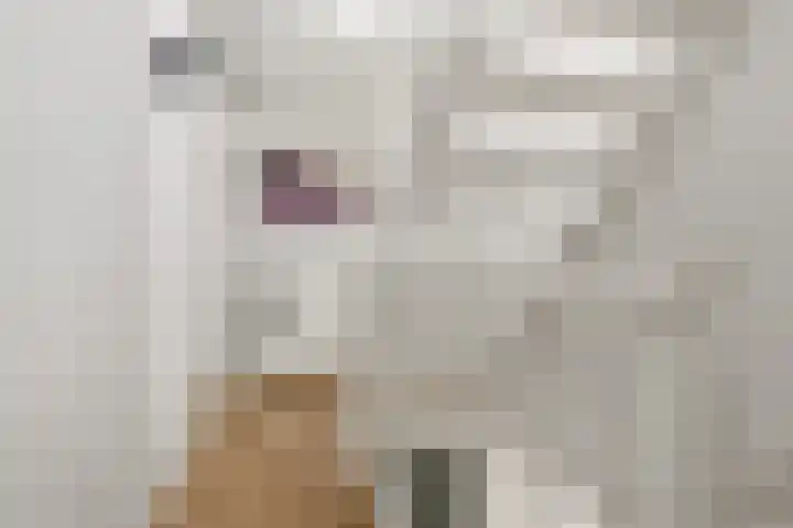 De Spin 6 Uitgeest thumbnail 14