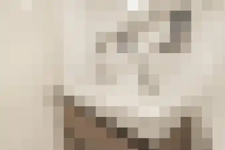 De Spin 6 Uitgeest thumbnail 15