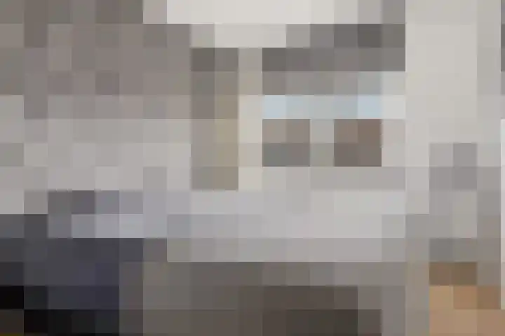 De Spin 6 Uitgeest thumbnail 15