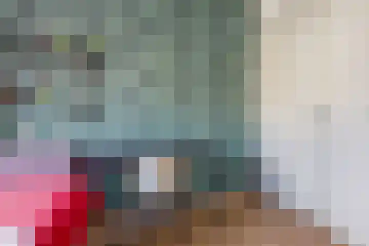 De Spin 6 Uitgeest thumbnail 19