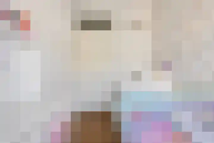 De Spin 6 Uitgeest thumbnail 21