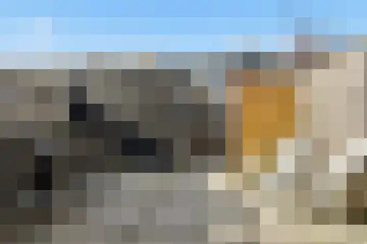De Spin 6 Uitgeest thumbnail 31
