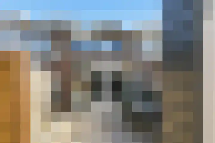 De Spin 6 Uitgeest thumbnail 35