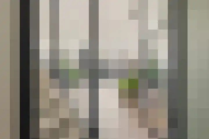 De Spin 6 Uitgeest thumbnail 4