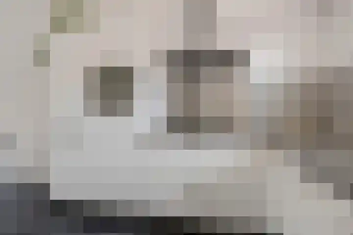 De Spin 6 Uitgeest thumbnail 40