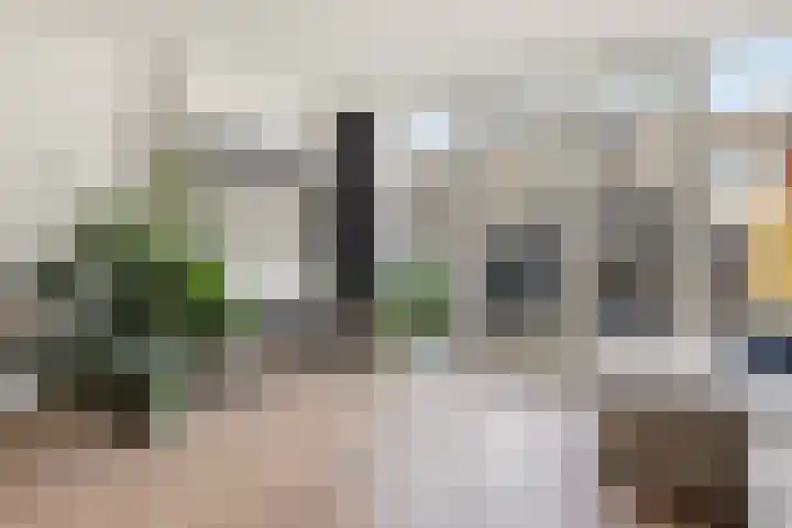 De Spin 6 Uitgeest thumbnail 6