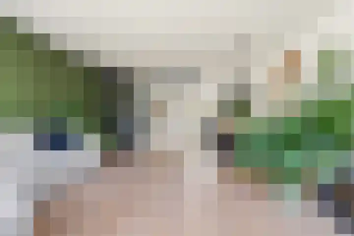 De Spin 6 Uitgeest thumbnail 7