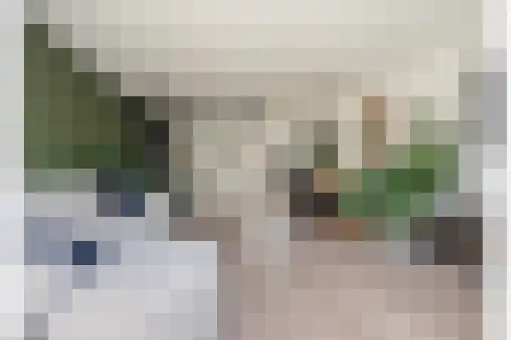 De Spin 6 Uitgeest thumbnail 8