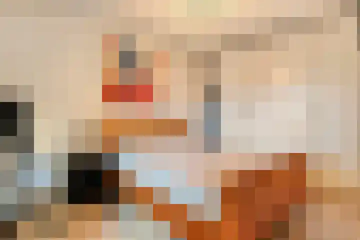 De Spinde 104 Hardenberg thumbnail 12