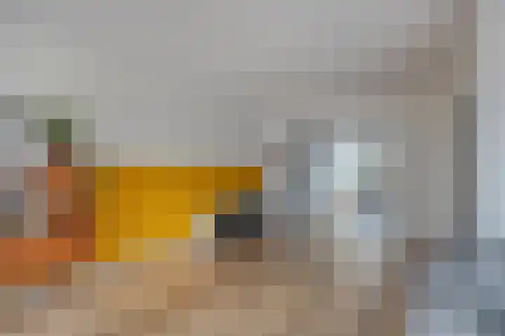 de Spinde 13 Heino thumbnail 10
