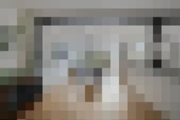 de Spinde 13 Heino thumbnail 12