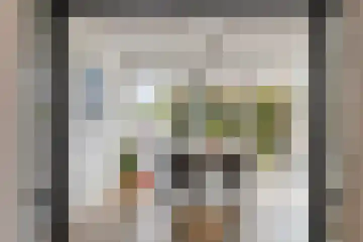 de Spinde 13 Heino thumbnail 13