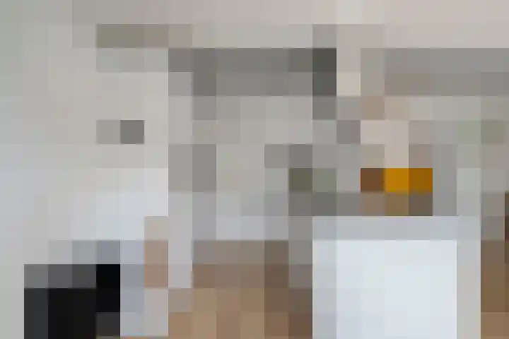 de Spinde 13 Heino thumbnail 16