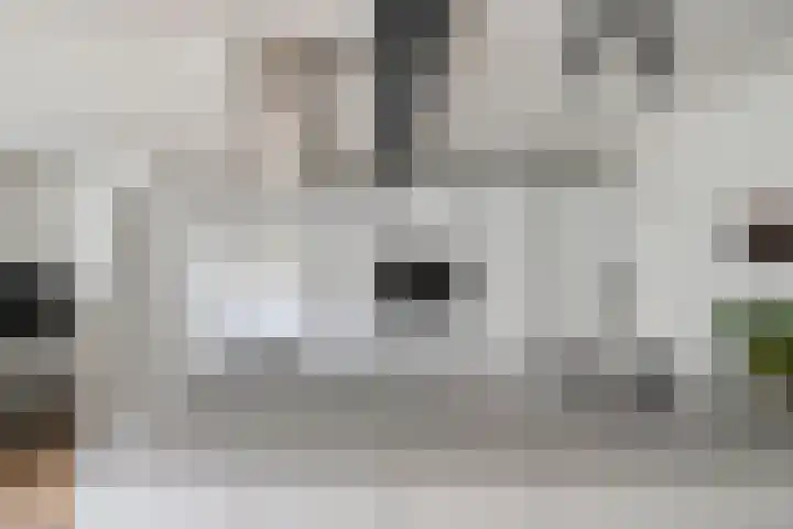 de Spinde 13 Heino thumbnail 17