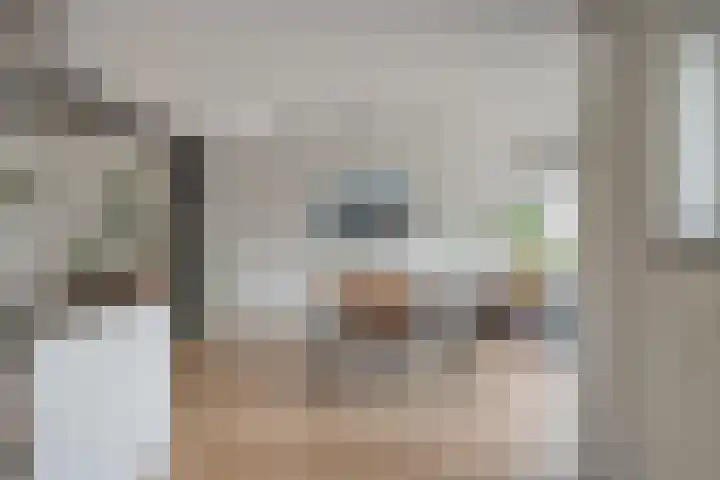 de Spinde 13 Heino thumbnail 18