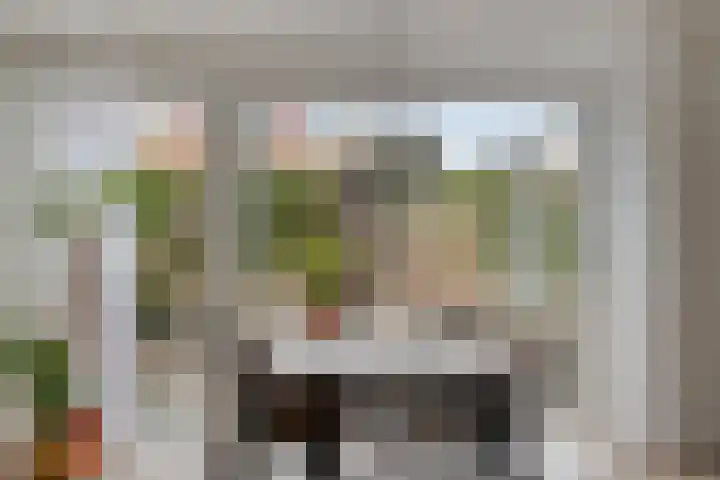 de Spinde 13 Heino thumbnail 19