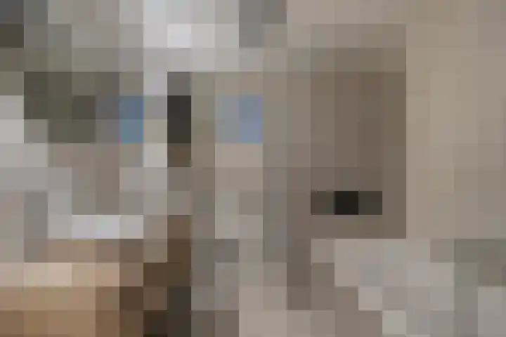de Spinde 13 Heino thumbnail 23