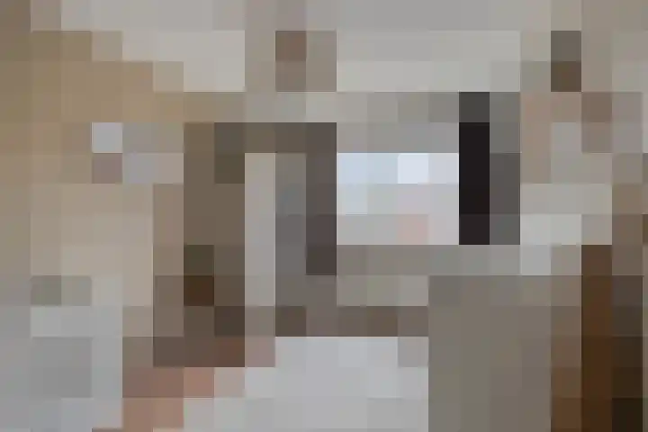 de Spinde 13 Heino thumbnail 26