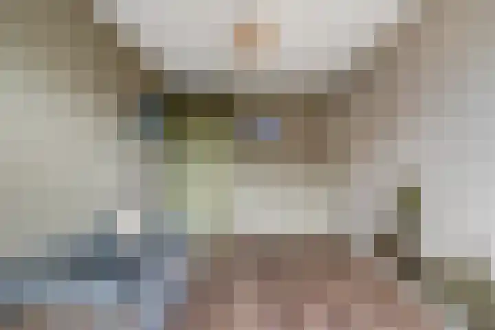 de Spinde 13 Heino thumbnail 29