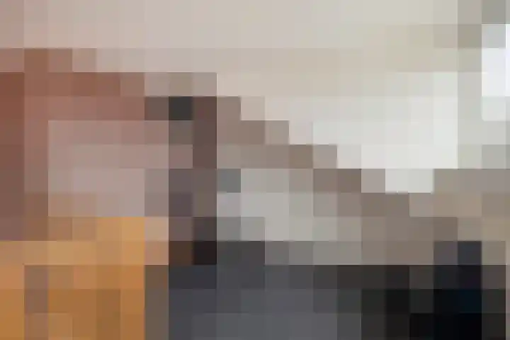 de Spinde 13 Heino thumbnail 32