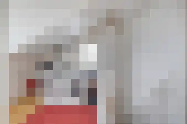 de Spinde 13 Heino thumbnail 33