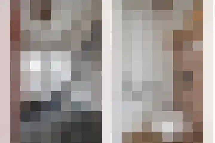 de Spinde 13 Heino thumbnail 4
