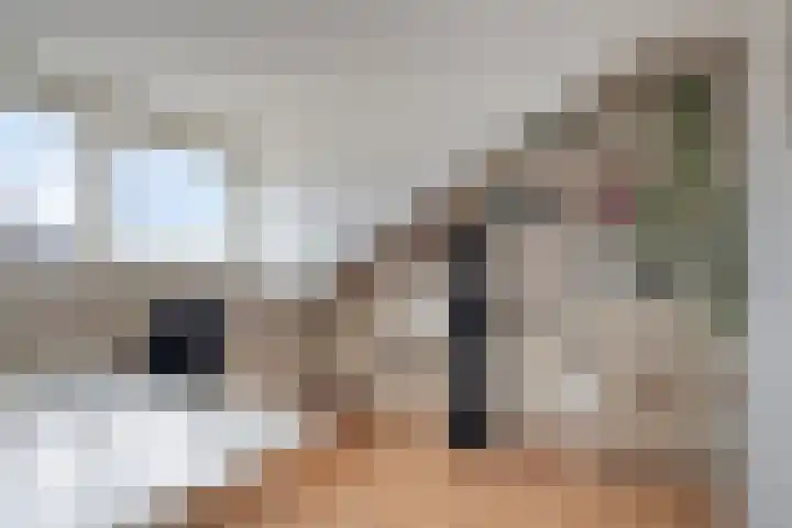 de Spinde 13 Heino thumbnail 40