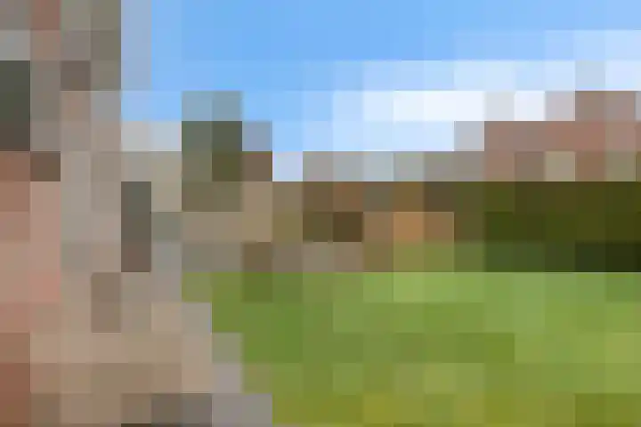 de Spinde 13 Heino thumbnail 41