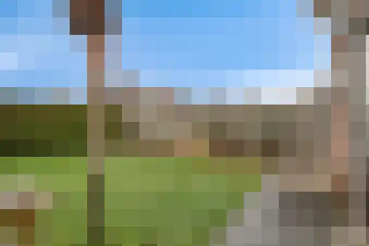 de Spinde 13 Heino thumbnail 44