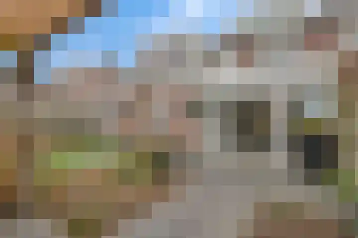 de Spinde 13 Heino thumbnail 45