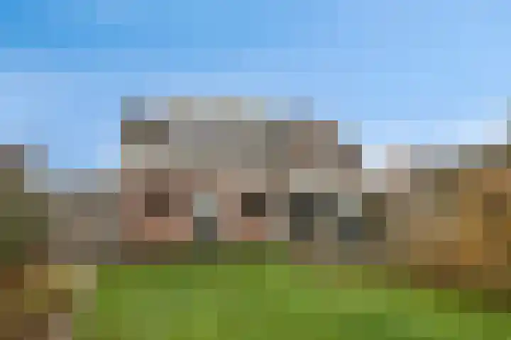 de Spinde 13 Heino thumbnail 46