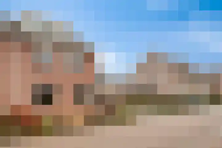 de Spinde 13 Heino thumbnail 49