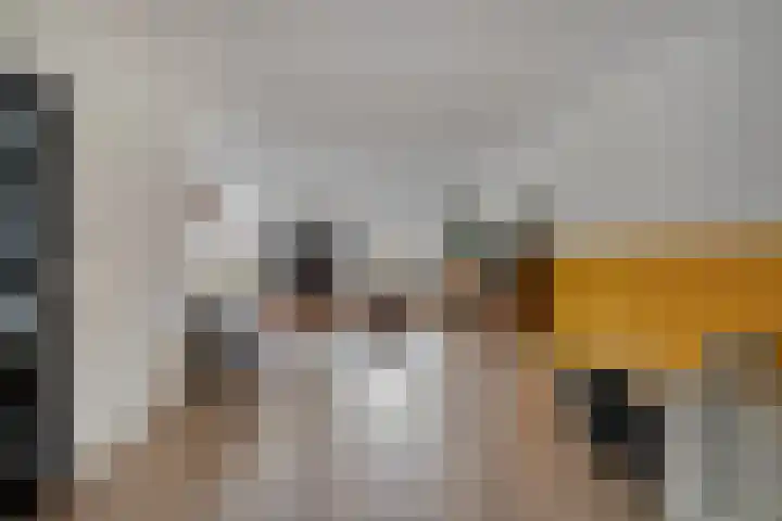 de Spinde 13 Heino thumbnail 5