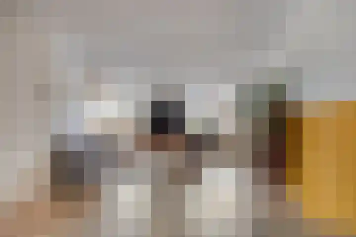 de Spinde 13 Heino thumbnail 6