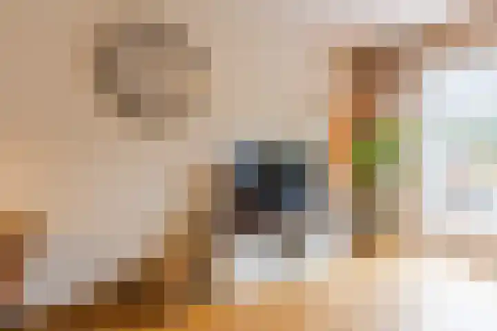 De Spindel 22 Steenbergen thumbnail 15