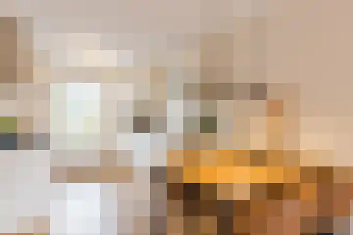 De Spindel 22 Steenbergen thumbnail 18