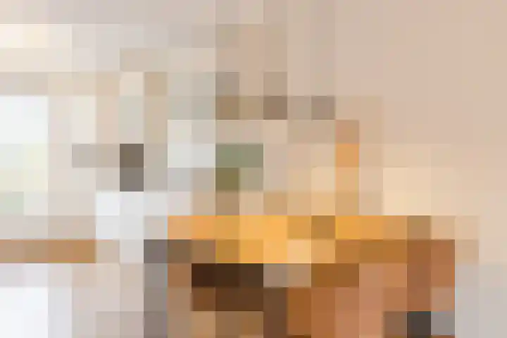 De Spindel 22 Steenbergen thumbnail 19